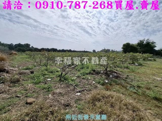 玉井農地-14