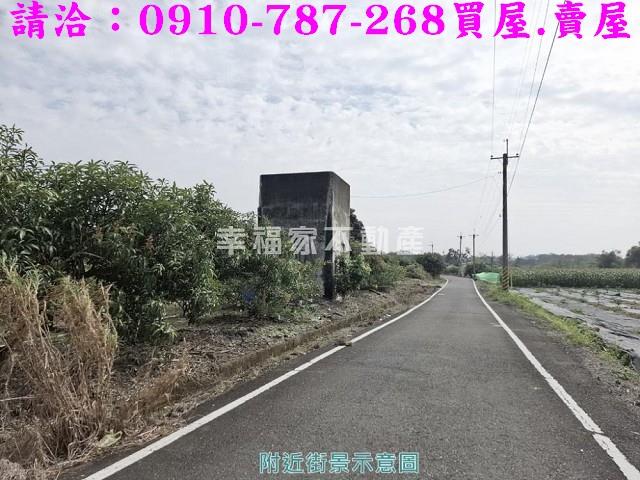 玉井農地-1