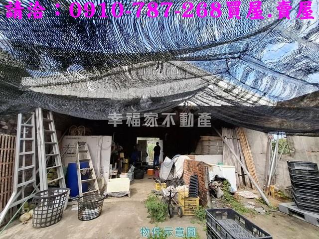 玉井農地-4