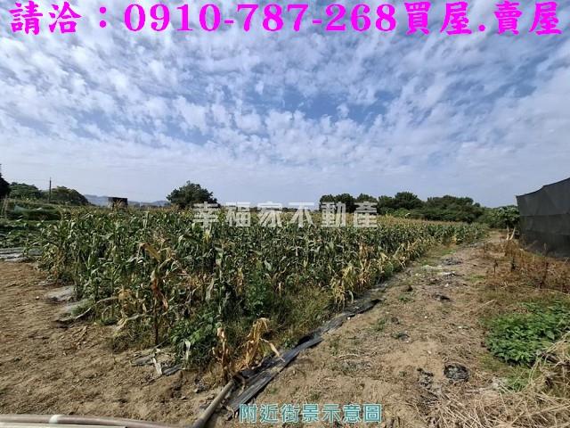 玉井農地-7