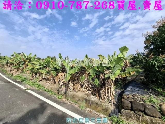 玉井農地-8