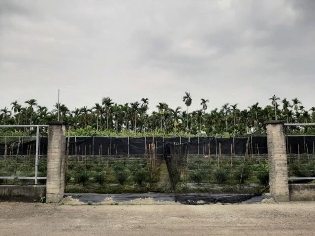 屏東鹽埔農地-5