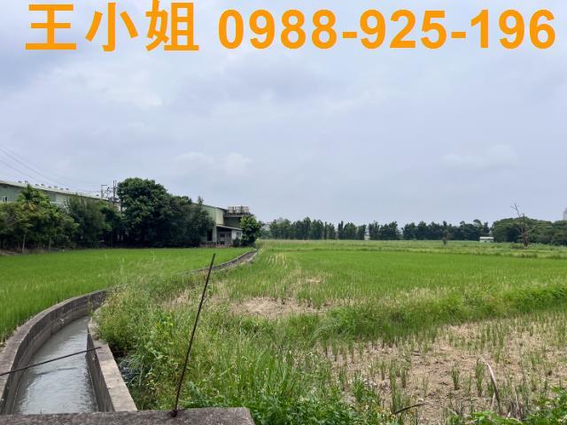 桃園桃園區農地-1