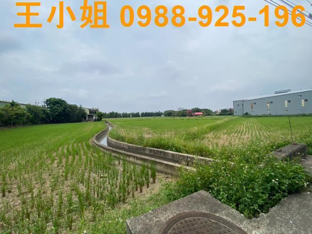 桃園桃園區農地-2