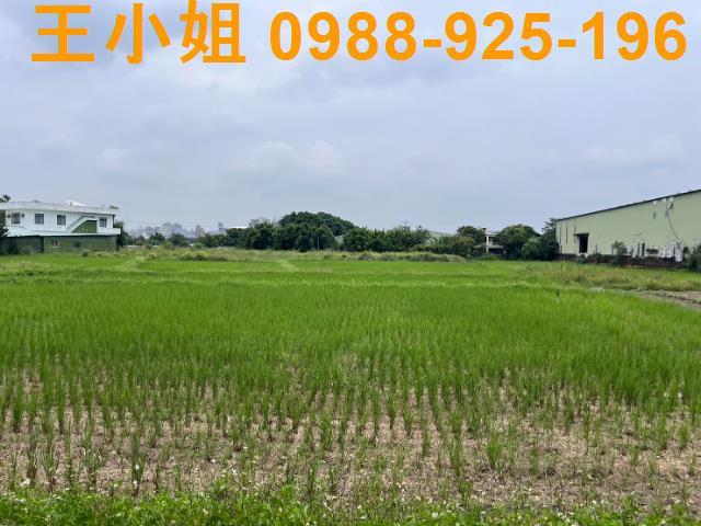 桃園桃園區農地-3