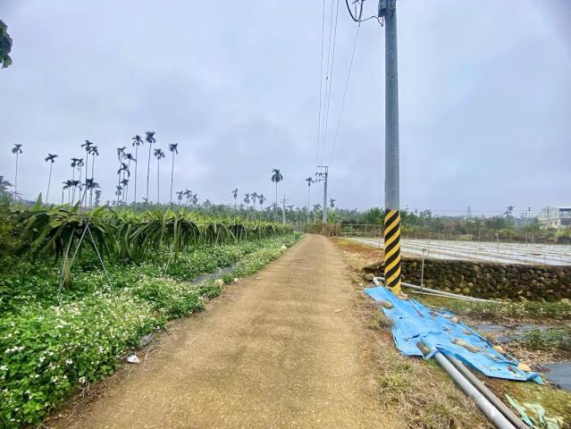 名間農地-6