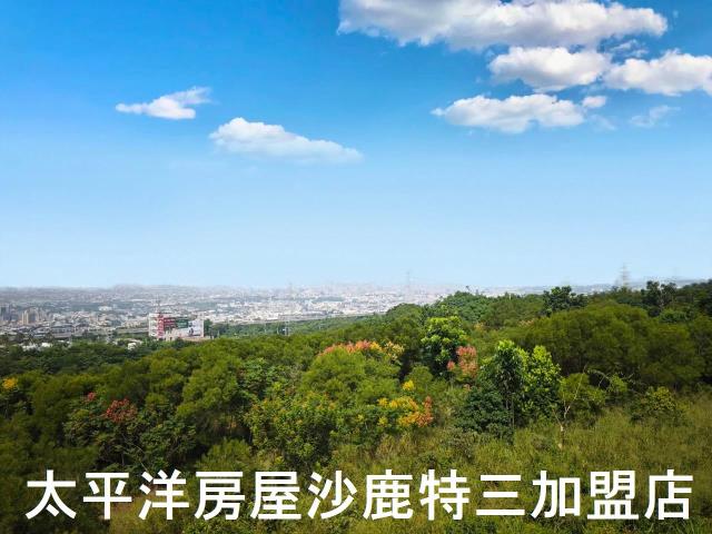 沙鹿保育區-3