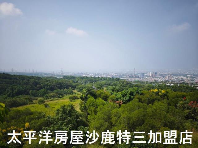沙鹿保育區-5