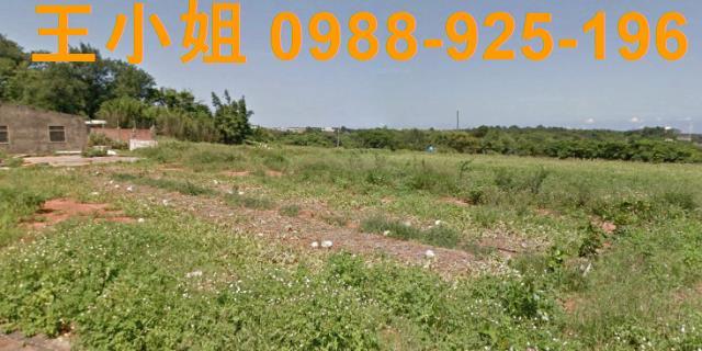 大園農地-3