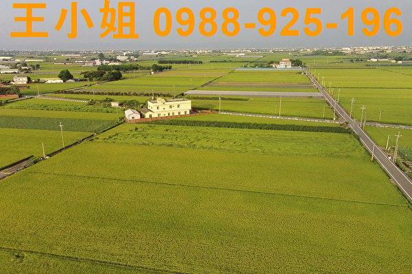大園農地-4
