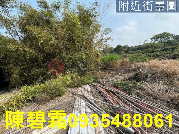 台南大內農地-2