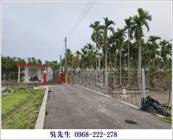 屏東高樹農地-2