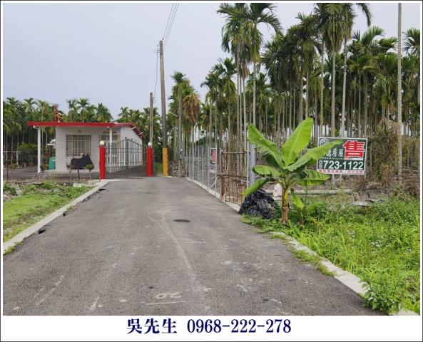 屏東高樹農地-4