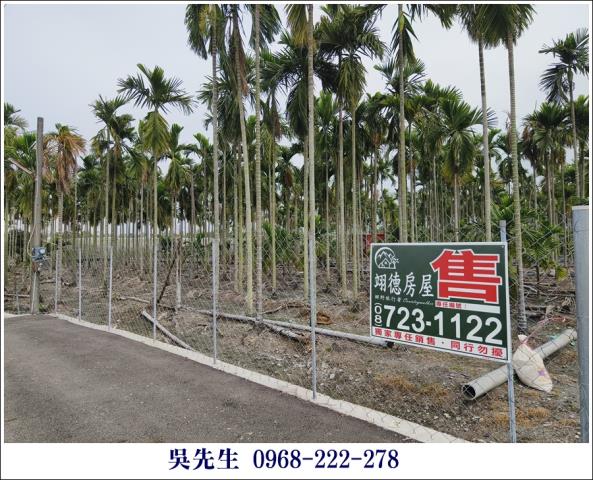 屏東高樹農地-3