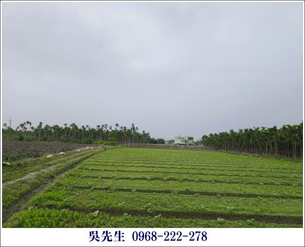 屏東高樹農地-4