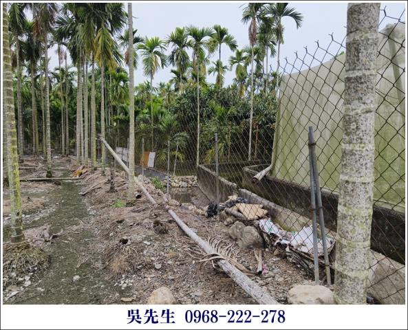 屏東高樹農地-7