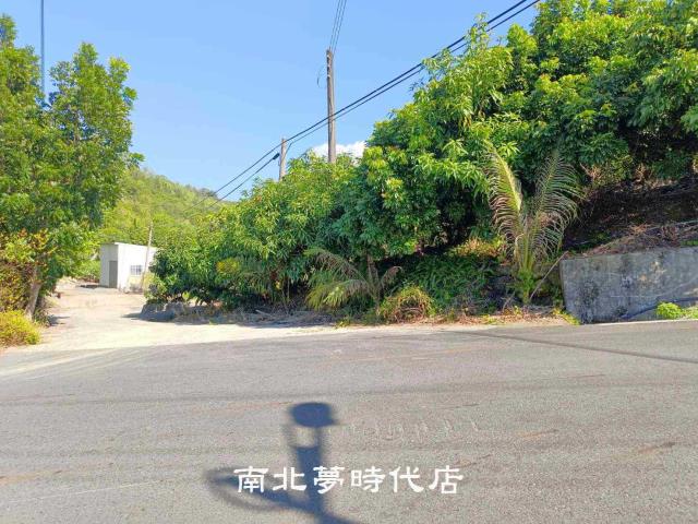 台南楠西山坡地-10