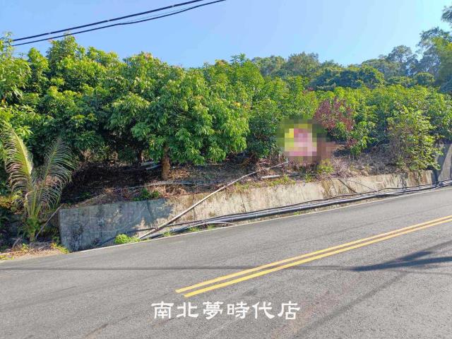 台南楠西山坡地-12