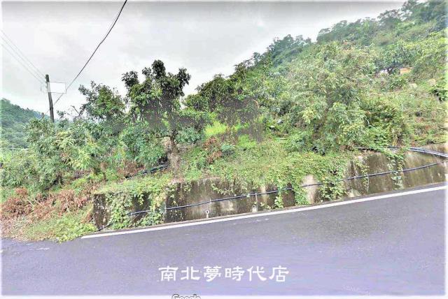 台南楠西山坡地-15