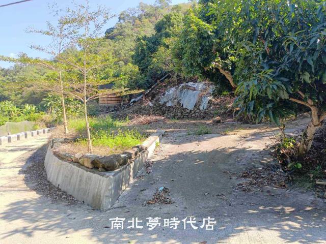 台南楠西山坡地-2