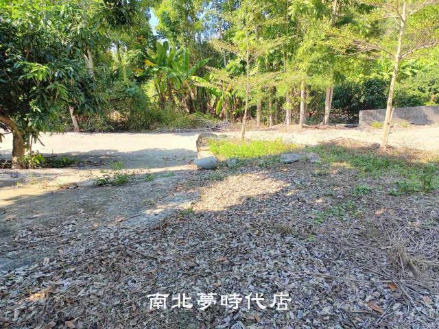 台南楠西山坡地-5