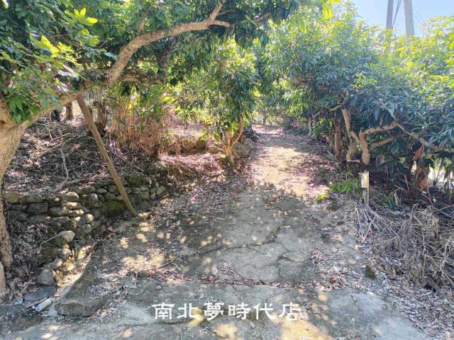 台南楠西山坡地-8