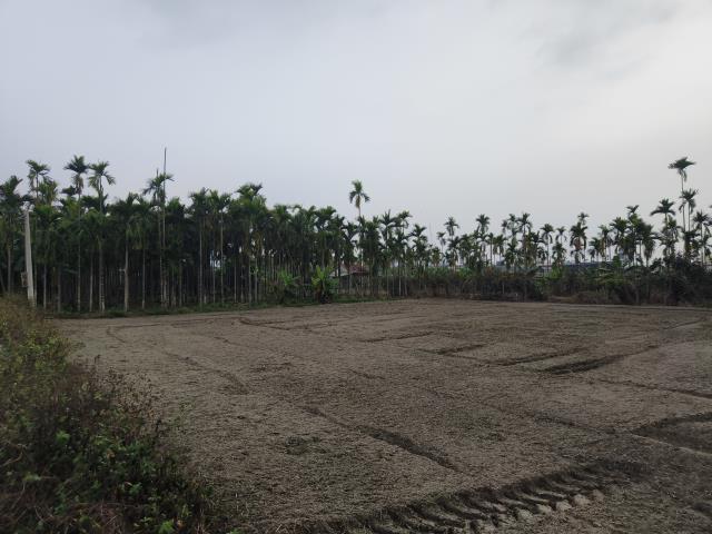 屏東麟洛都計農地-8