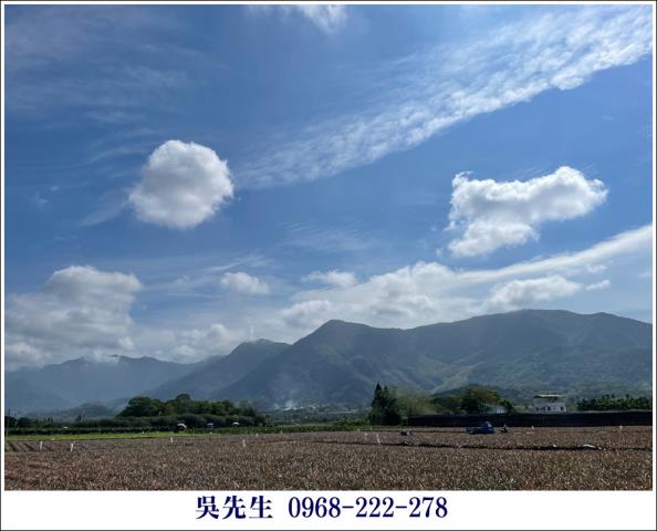 屏東高樹農地-12
