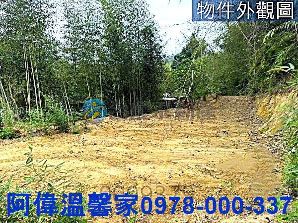 寶山農地-2