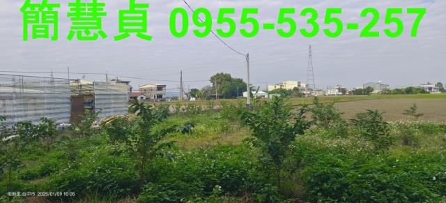 台中農地-3