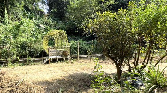 新竹農地-14