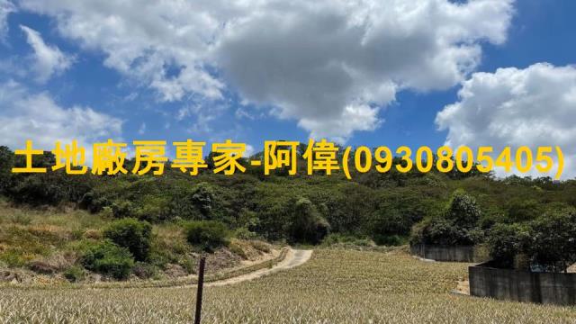 高雄大樹農地-1