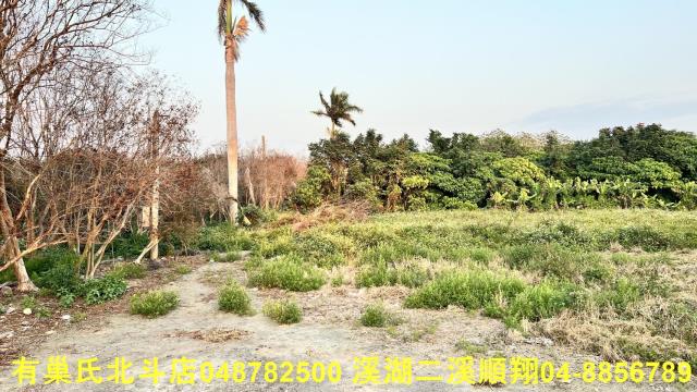 彰化溪州建地-4