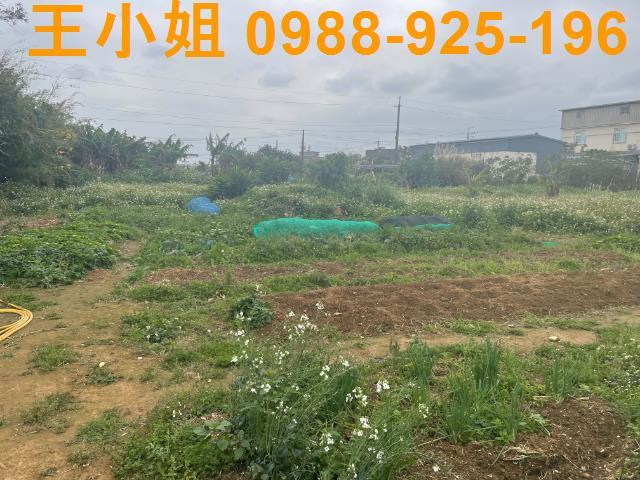 桃園觀音農地-1