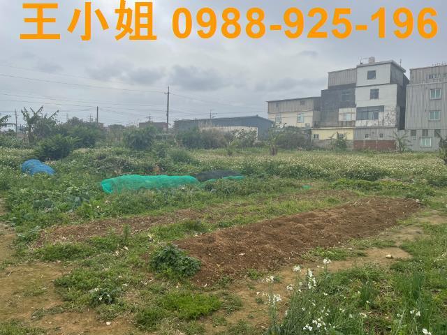 桃園觀音農地-2