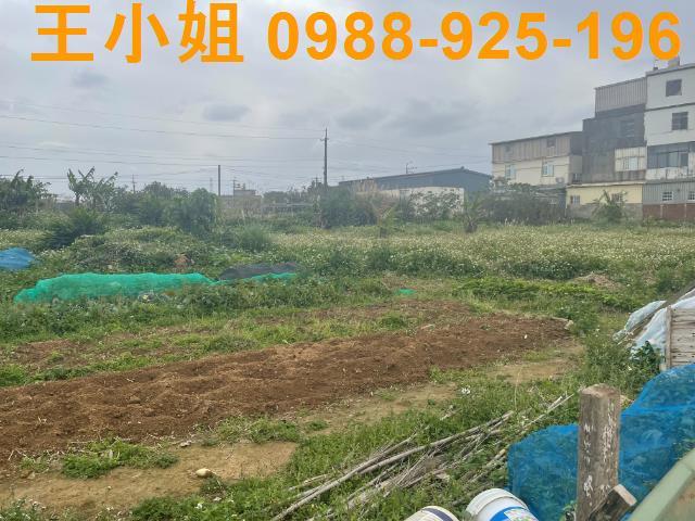 桃園觀音農地-3