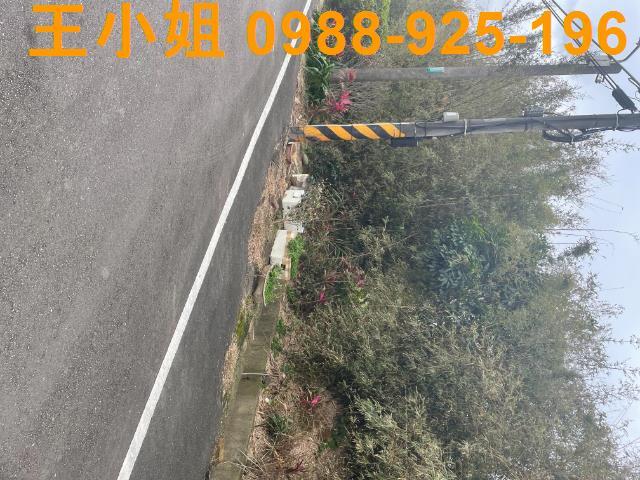 桃園觀音農地-4