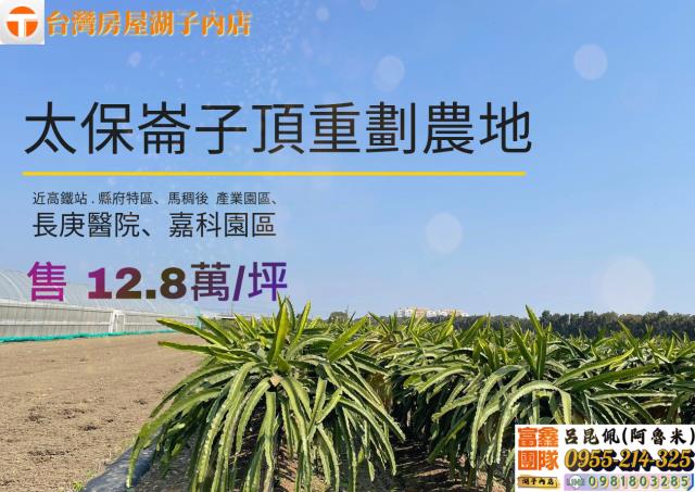 嘉義太保農地-1