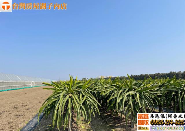 嘉義太保農地-2
