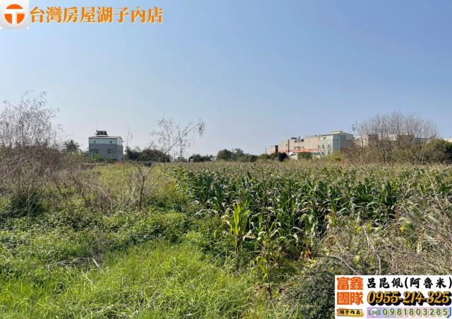 嘉義太保農地-3