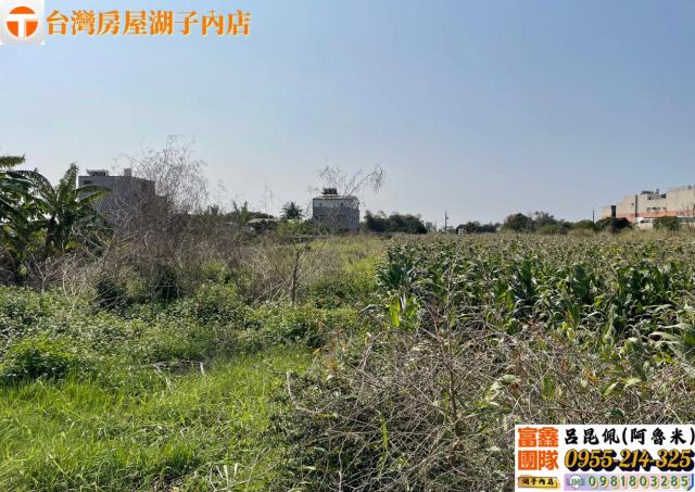 嘉義太保農地-4