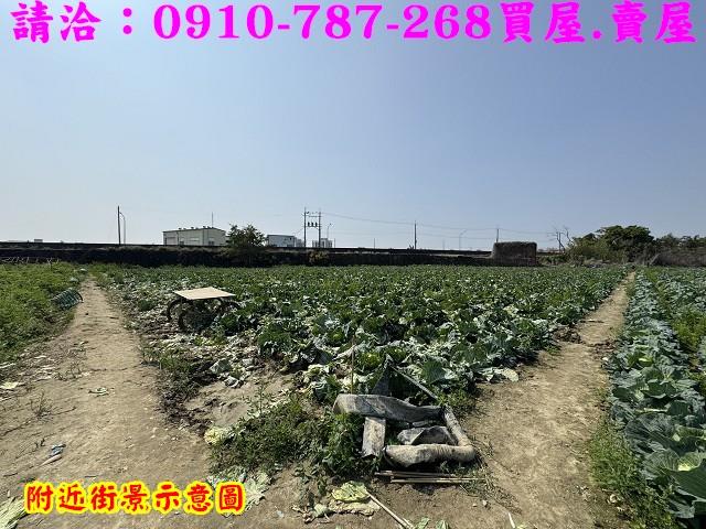 新市農地-11