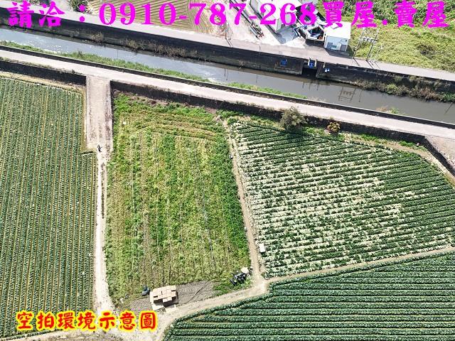 新市農地-4