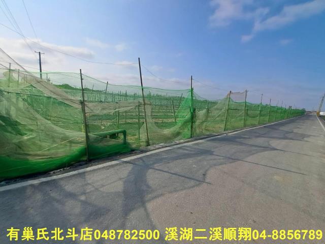 埤頭農地-2