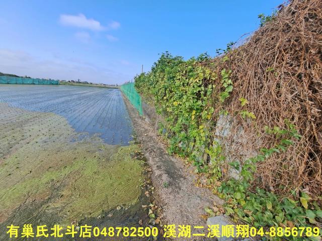 埤頭農地-5