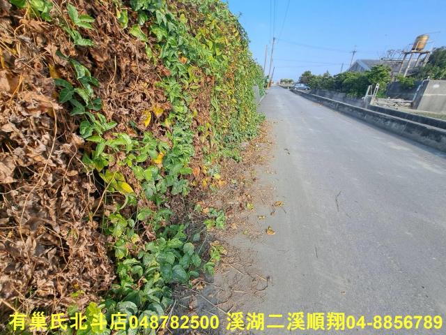 埤頭農地-6