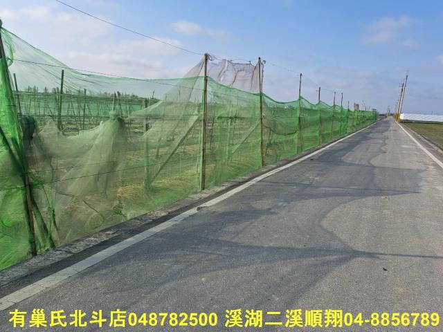 埤頭農地-9