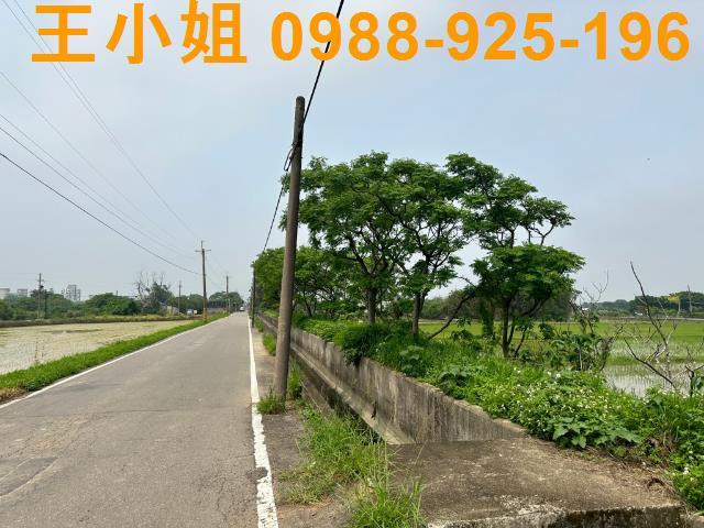 觀音農地-3