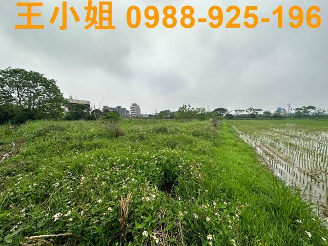 觀音農地-4