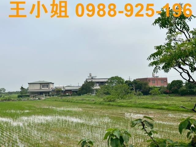 觀音農地-5